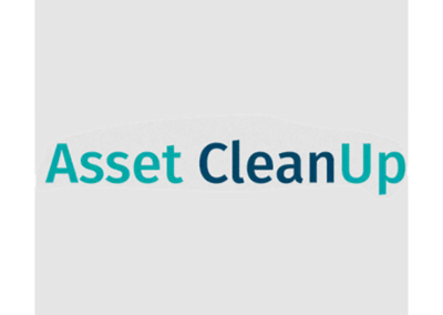 Asset Cleanup